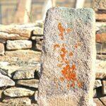 Безымянный 2