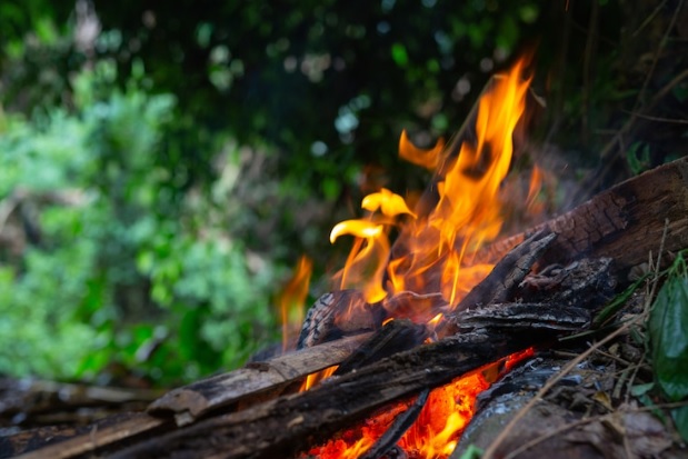 Лесные пожары Караганда