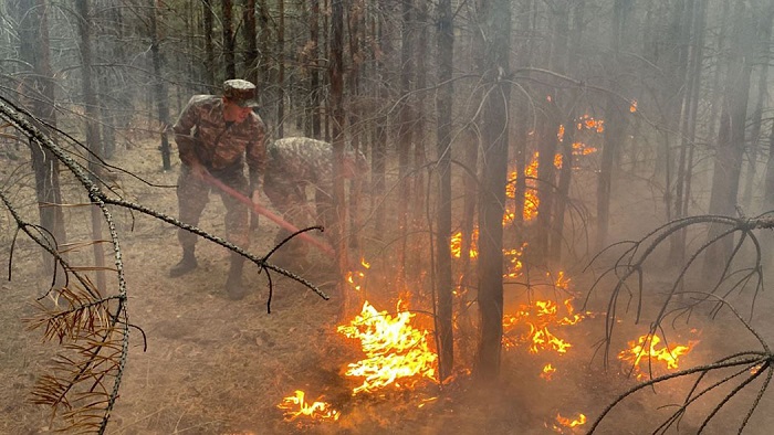 Александр Флейтлинг пожары в Костанайской области