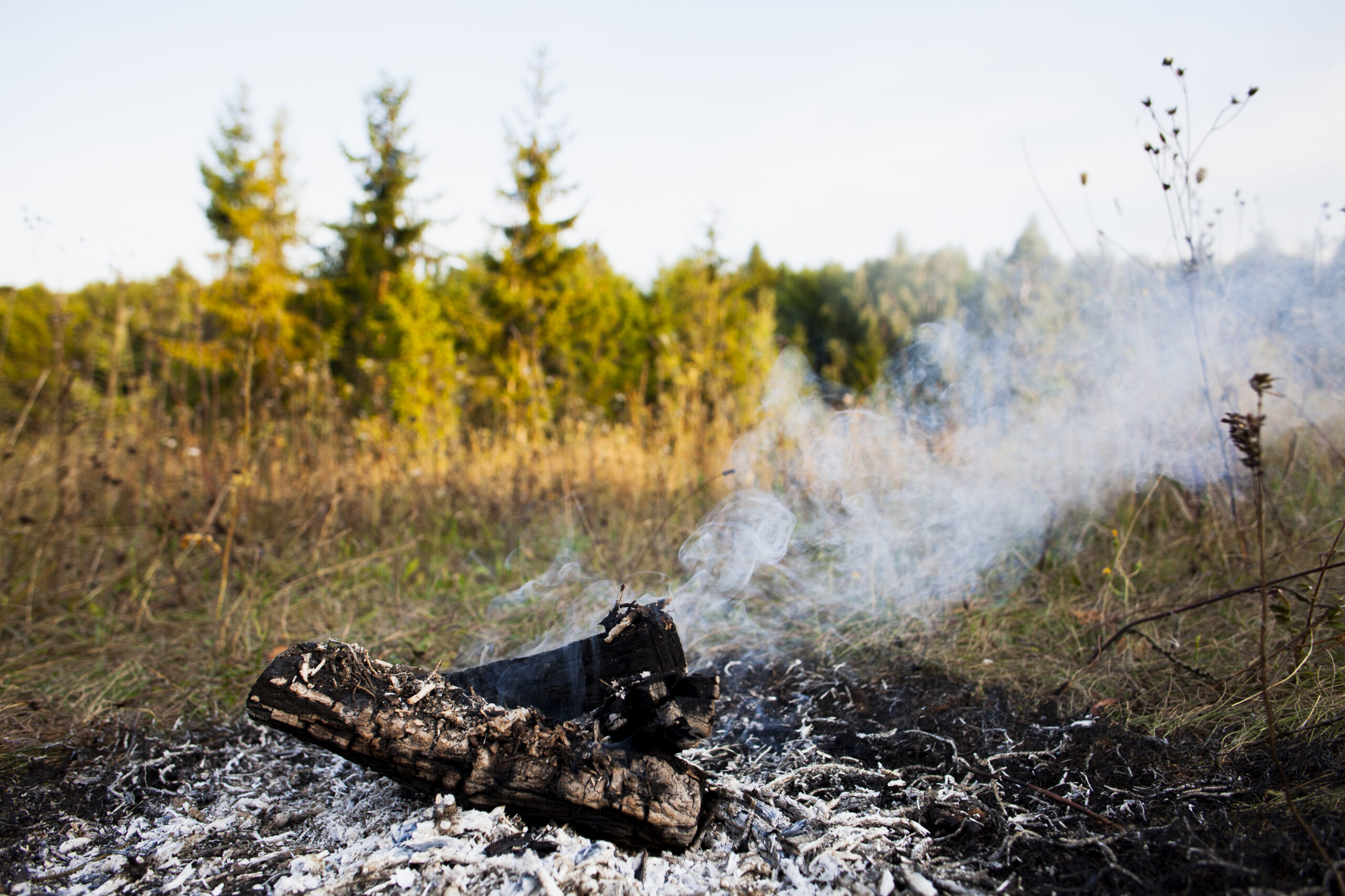 В Карагандинской области заживо сгорел охотник