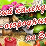 WhatsApp Image 2025-01-20 at 11.05.01 — копия