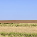IMG_6176