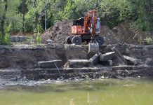 Съела всю траву: очистить озеро в Центральном парке Караганды помогает рыба