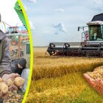 Урожай собрать и сохранить!