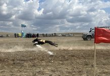 Большая охота: в Осакаровском районе прошел открытый турнир по шырға тарту среди казахских тазы