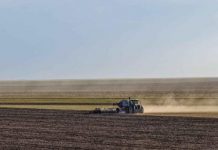 Казахстан расширит экспортные рынки сельхозпродукции