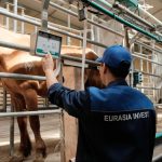 Крупнейший в стране завод по производству сублимированного кобыльего молока наращивает обороты