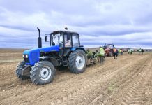 Там, где клен шумит: в регионе проводится масштабная работа по сохранению и восстановлению лесов