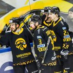 Праздничная виктория «Сарыарки»