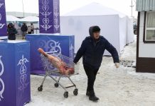 Еще восемь сельскохозяйственных ярмарок «Ауыл береке-2025» проведут в Караганде