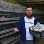 История успеха: хозяева перепелиной фермы в селе Уштобе снабжают Караганду полезной продукцией