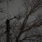 Карагандинцы с надеждой на светлое будущее