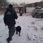 В Карагандинской области на «черный рынок» не попали 173 тысячи доз наркотиков