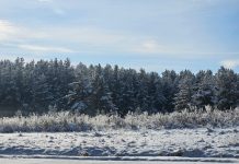 На трассе республиканского значения Караганда — Астана действует ограничение скорости