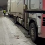 Грузовик с похищенными лошадьми задержан на блокпосту в Темиртау