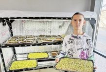 Юноша из Балхаша запустил новый стартап и вызвал интерес у местных предпринимателей