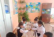 Ладья по расписанию: в школах региона преподают шахматы