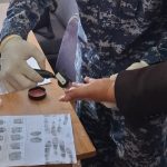 Что у криминалиста в кейсе