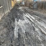 WhatsApp Image 2025-11-26 at 15.14.23