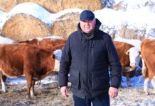 Отечественные фермеры нуждаются в «длинных деньгах»