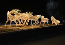 Кто зажигает город?