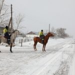 Сельским жителям предлагают повысить свой доход, воспользовавшись проектом «Ауыл аманаты»