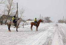 Сельским жителям предлагают повысить свой доход, воспользовавшись проектом «Ауыл аманаты»