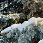 Казгидромет: какая погода ждет жителей Карагандинской области в первые дни нового года?