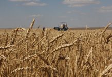 Выгода для карагандинских фермеров