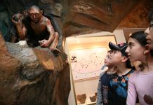 Читать книги, посещать выставки, кататься на коньках