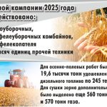 В Карагандинской области аграрии намолотили более одного миллиона тонн зерна