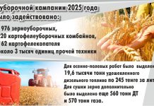 В Карагандинской области аграрии намолотили более одного миллиона тонн зерна