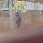 От трех до шести лет лишения свободы может получить распространитель рекламы наркотиков