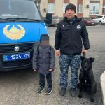 Четырехлетнего мальчика, пропавшего в Караганде, искали кинологи с собакой