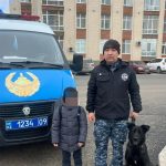 Четырехлетнего мальчика, пропавшего в Караганде, искали кинологи с собакой