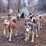 WhatsApp Image 2025-12-03 at 15.53.13