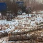 Старые — на молодые: Центральный парк Караганды обновит зеленый фонд