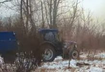 Старые — на молодые: Центральный парк Караганды обновит зеленый фонд