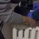 Карагандинцев чаще штрафуют за распитие алкоголя и приставание в общественных местах