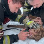 В Караганде эвакуировали 10 человек и спасли собаку