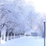 Снег и тишина: утро в Караганде