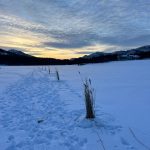 В Каркаралинске спасают рыбу от замора