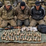 В Карагандинской области задержали браконьеров