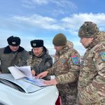 Почти 118 тысяч тенге штрафа за срубленную сосну заплатит житель Карагандинской области