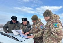 Почти 118 тысяч тенге штрафа за срубленную сосну заплатит житель Карагандинской области