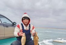 Особенности зимней рыбалки на Балхаше