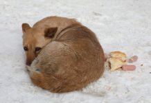 Неприкаянные «хвостики»: проблема, требующая конкретного решения