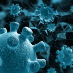 В Карагандинской области случаев заражения вирусом Нипах не зарегистрировано