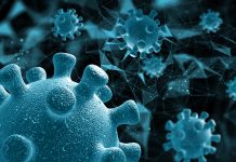 В Карагандинской области случаев заражения вирусом Нипах не зарегистрировано