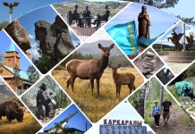 Каркаралинский природный парк: какие туристические объекты появятся?